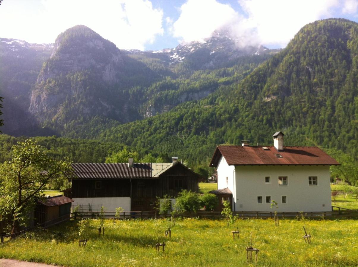 Ferienwohnung Stricker Obertraun Exterior foto